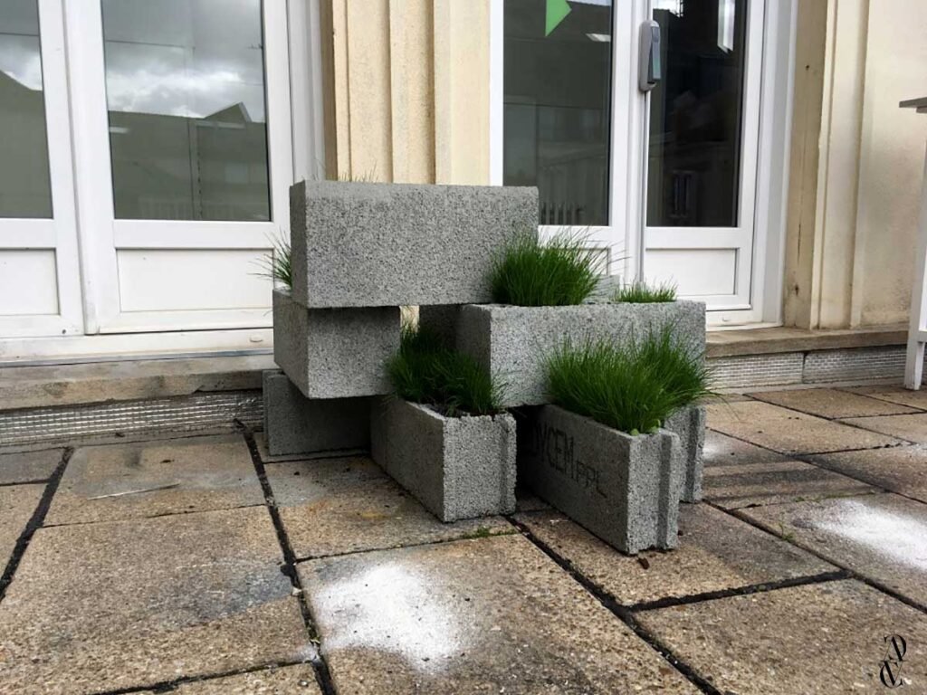 Photographie de l'œuvre "ZIZANIA" de Victor Chaplais, mettant en valeur les mauvaises herbes de nos rues comme des plantes dans un espace intérieur